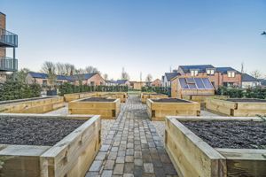 Keep those fingers Green- click for photo gallery